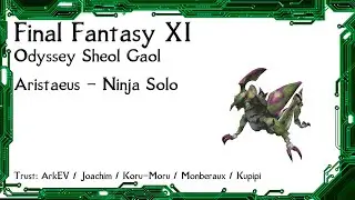 FFXI - Odyssey Sheol Gaol Aristaeus