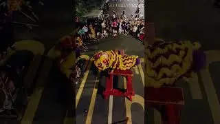 A Chinese Cultural Spectacle - World Traditional Dance