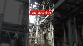 Distillery Distillation Plant #ytshorts #viralshorts #shorts