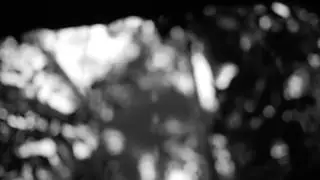 thruoutin - do it again