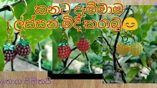 කනට දැම්මාම ලස්සන මිදී කරාබු l Earrings l SL fashion