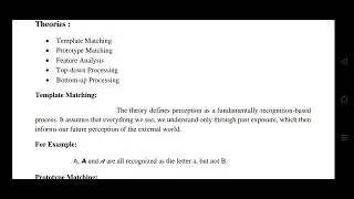 Pattern recognition & feature analysis | Human perception | theories | B's psychology notes