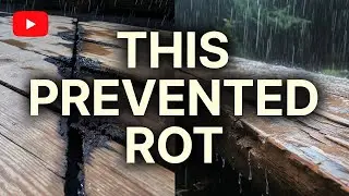 Why Medieval Wood Refused To Rot And Modern Wood Fails