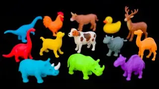 Cleaning animals cow duck goose horse chicken elephant crocodile goat bear dog zebra dinosaur