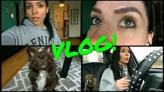 VLOG: April 5th-15th | Microblading, Dog Grooming, & Health Scares
