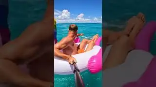 Dolphins Steal My Pool Float!