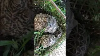 Conozcan un poco más de Quinta las Limas