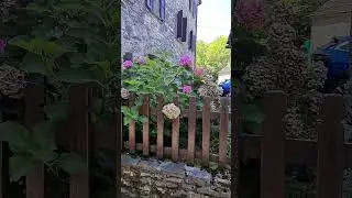 CORCHIA