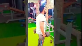 Biceps Hamer exercise #biceps #bicepsworkout online training free massage comments