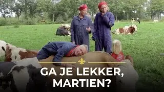 HYSTERISCH: De Meilandjes gaan koe knuffelen! 😂 | Chateau Meiland