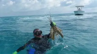 Costco Engages to Transition The Bahamas Spiny Lobster Fishery