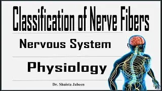 Nerve Fibers Classification I Physiology of Nervous system I Online Lecture in Urdu / Hindi