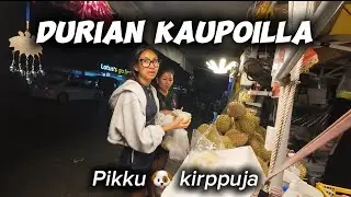 Pikku koiralla kirppuja, joko durianit mehukkaita 🤗