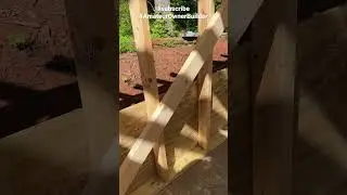 Mold on lumber 😱🤢