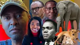 PKagame, Ruhumuriza, PNahimana ... Umwakawa 2026 bamwe mugiyekuba inzovu abandi mube ibibwanabyimbwa