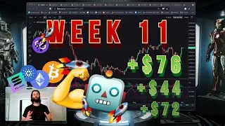 Building Profitable Trading Bots - Strength Continues - Week 11
