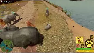 play as baby ele and troll