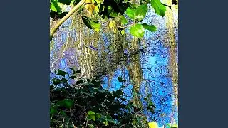 Circuit Tree