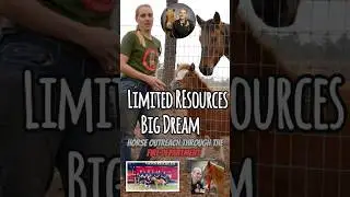 Clip Horses and Firefighter #dreambig #fireservice #therapyhorse #opioidawareness #endoverdose