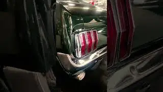 1966 Ford Mustang Fastback #carshorts #cars #classiccars #classiccar #connecticut #mustangs #mustang