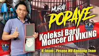 VIKING ARENA | Baru TakeOver Langsung Moncer | MB POPAYE H Imam Pesona Murai Batu Bandung