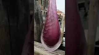 Original Murano Glass VASE VIPER - PURPLE