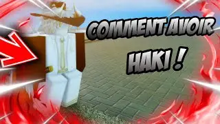 COMMENT AVOIR LE HAKI ? | Fruit Warrior