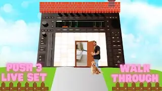 Push 3 Live Setup - Basic Walkthrough