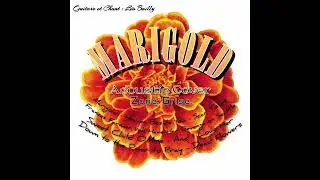 Scar Tissue (MARIGOLD - Zone Grise)