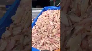 g&aacute;i xinh m&ecirc; teemm tui nek