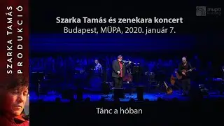 Szarka Tamás - Tánc a hóban - MÜPA, 2020.január 7./ 2. rész