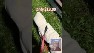 Pet Fashion Essentials #PetStyle