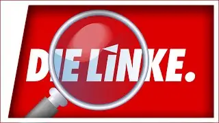 Die Linke Wahlprogramm erkl&auml;rt !