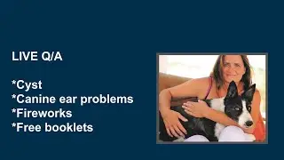 Fire works, Canine Ear problems, cyst