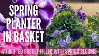 Цветочный горшок для ранней весны 🌷🌷🌷 || Вдохновение для весенних цветочных композиций || Идеи дл...