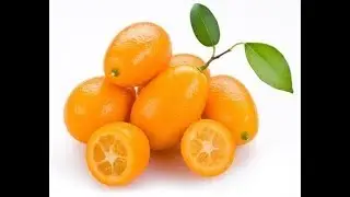 Kumquat
