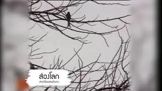 ส่องโลก (60-62)_EP063 ตอน บันทึกคนเดินทาง (อินเดียน่า...โจ๋ย บางจาก) 02 (ออกอากาศ 22 ก.ย. 2561)