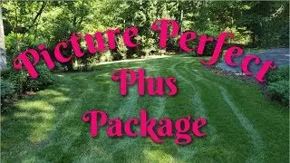 Picture Perfect Plus Program | PPLM | (804) 530-2540