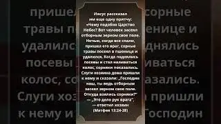 #Матфея 13:24-28 #Библия #СтихДня