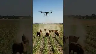 Terrifying Robot Spider Drones Chase Pig. #shorts #drone #smartfarming #dronevideo