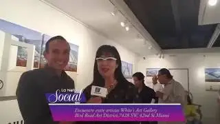 SOCIAL WHITE'S ART GALLERY, BIRD ROAD ART DISTRICT, 7428 SW, MIAMI. 10-08-16