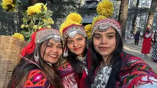 Manali Vlog Part 1 🤩 #manalivlogs #manalitrip #tripvideos #friends #manali 
