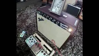 Pelitaur and Looper 