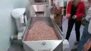Automatic Peanut Rotary Roaster Machine