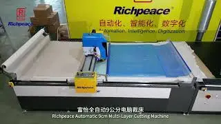 Richpeace premium 9cm multi-ply cutter 2500*1600mm with collection area