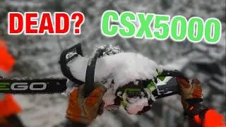 Эксплуатационные характеристики EGO CSX5000 в реальных условиях лесохозяйственной работы (в услов...