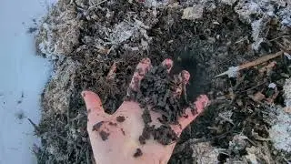 -10&deg; and I Still Put Nature to Work