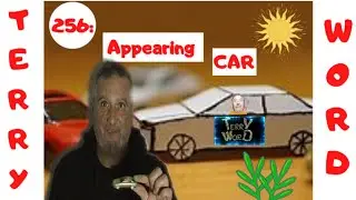 256: Appearing car