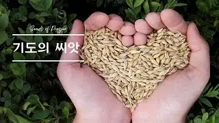 [기도의 씨앗] 기도를 심는 특별한 시간 12-26-2025  🌱1180