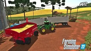 Metendo Pressão na Safra do Arroz/Estância Ponte Funda/Farming Simulator 22 #612